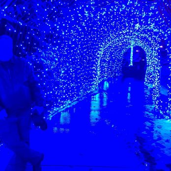 Winterlights at Newfields - Ice storm Tunnel - Festivals Near Me - Indianapolis, Indiana Winterlights at Newfields - Ice storm Tunnel - Festivals Near Me - Indianapolis, Indiana