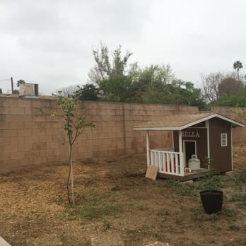 Aper's Tree Service - All gone they did an awesome job. - Tree Services Near Me - Sunland, California