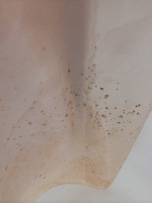 TownHouse Extended Stay Hotel Downtown by null