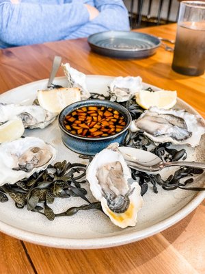 Shearwater Tavern by null