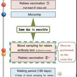 Sturbridge Veterinary Hospital - Refused to do blood sampling and rabies vaccination two the same day, even though import guide states this