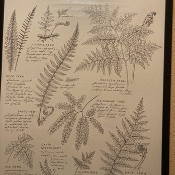 Packwood Brewing Co. - Cool pictures all over...like maps and this helpful plant photo - Brewpubs Near Me - Packwood, Washington Packwood Brewing Co. - Cool pictures all over...like maps and this helpful plant photo - Brewpubs Near Me - Packwood, Washington