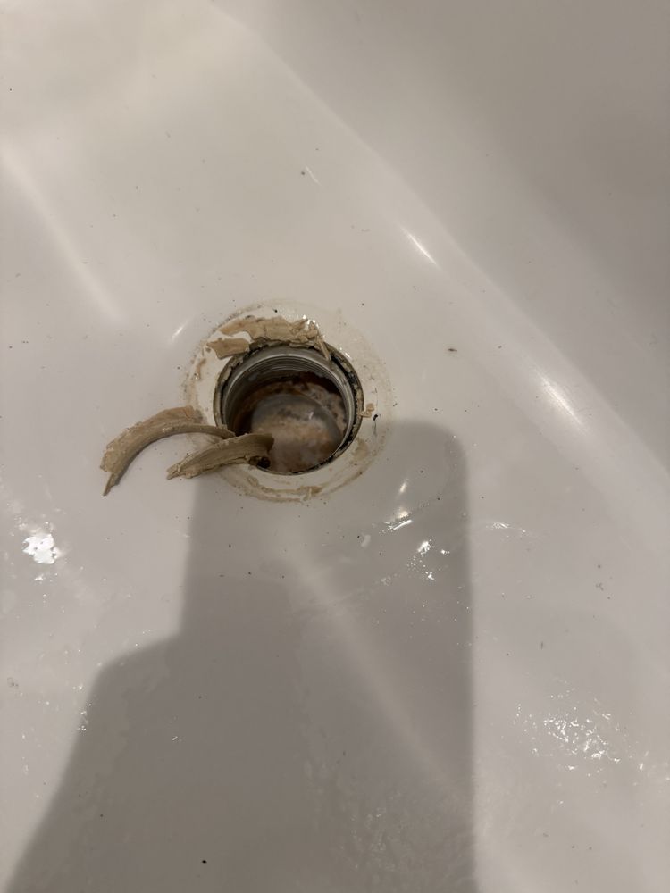 Slide of Root Busters