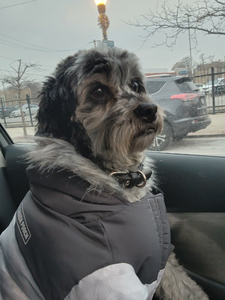 EASY WAY PEST CONTROL 32 Photos & 148 Reviews 1303 W Elmdale Ave