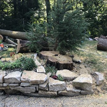 Rieke Tree Service - Tree Services Near Me Rieke Tree Service - Tree Services Near Me