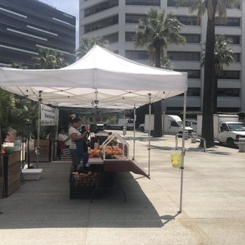 Glendale Farmer's Market - a farmer's market on a sunny day - Farmers Market Near Me - Glendale, California Glendale Farmer's Market - a farmer's market on a sunny day - Farmers Market Near Me - Glendale, California