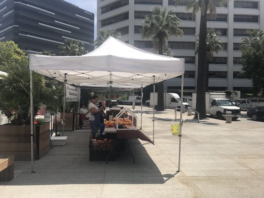 Glendale Gateway Certified Farmer's Market by null