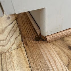 My HardWood Floor Guy - Penny sealed into the floor.