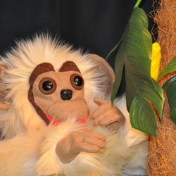 Little Ling finds a banana in "Monkey and the Crocodile"