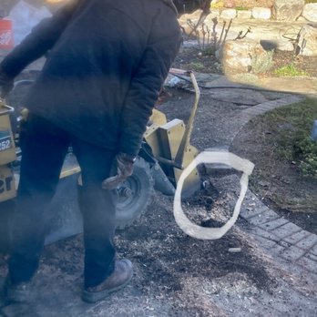 East Bay Stump Removal - Get very close to pipe without accidental damage. - Tree Services Near Me East Bay Stump Removal - Get very close to pipe without accidental damage. - Tree Services Near Me
