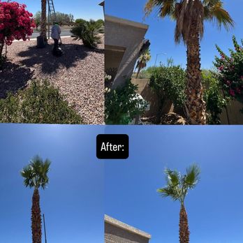 Aurelio Ruelas Landscaping - Landscape Architects or Designers Near Me Aurelio Ruelas Landscaping - Landscape Architects or Designers Near Me
