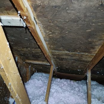Western Exterminator - Insulation work - Pest Control Near Me - Spokane Valley, Washington Western Exterminator - Insulation work - Pest Control Near Me - Spokane Valley, Washington