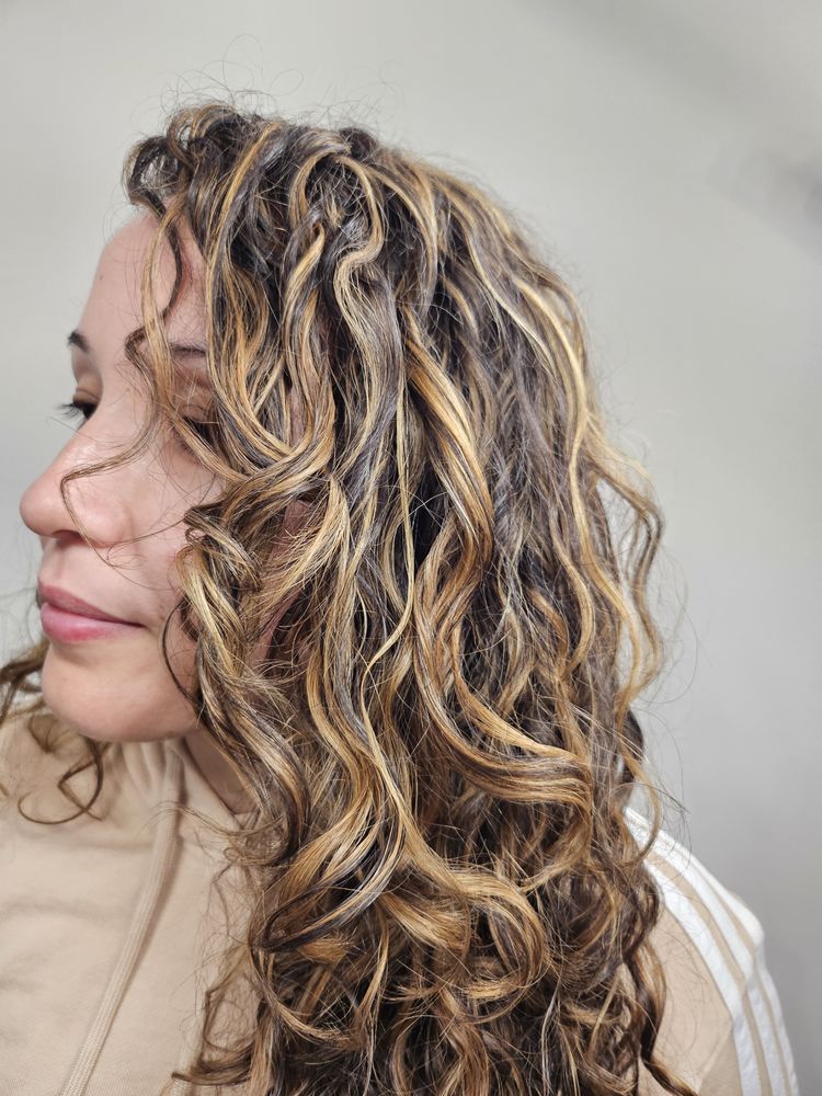 The Art and Soul of Hair Logo