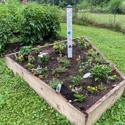 Northside Food Pantry - A children's garden that offers veggies to Northside Food Pantry