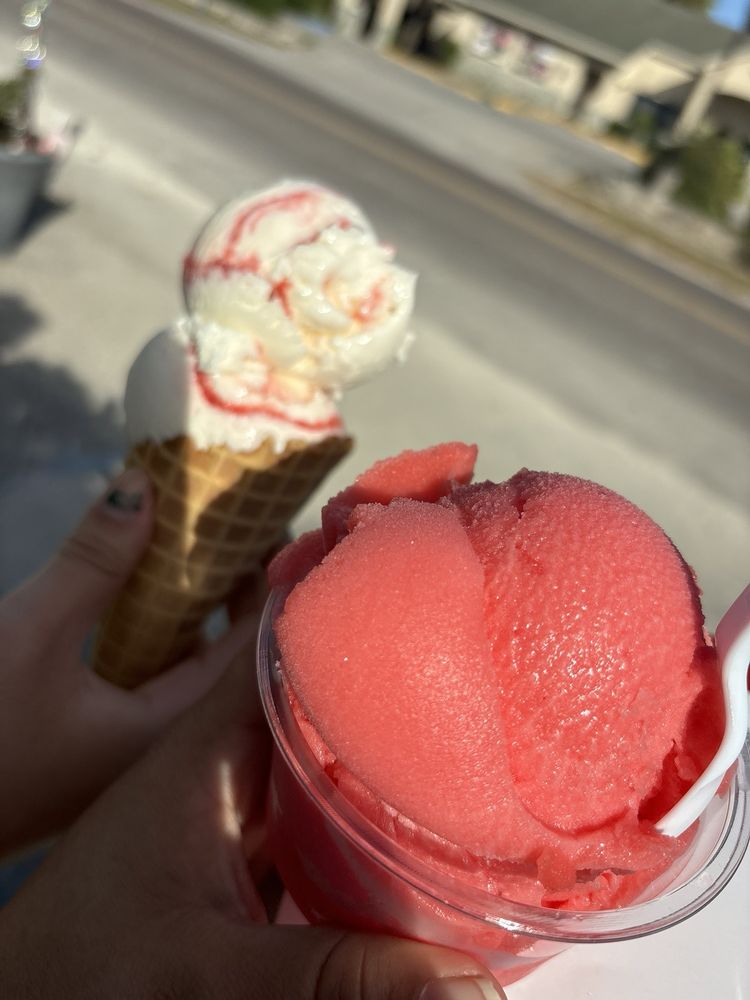 Flamingo Freeze Logo