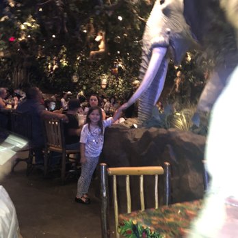 Rainforest Cafe - American Near Me - Ontario, California Rainforest Cafe - American Near Me - Ontario, California