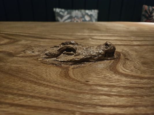 Gato Exotico by null