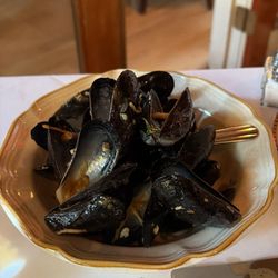 Empty mussel shells