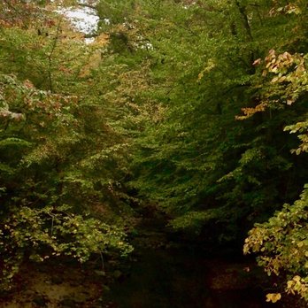 GWYNNS FALLS/LEAKIN PARK - Updated January 2026 - 21 Photos - Baltimore