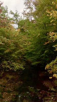 GWYNNS FALLS/LEAKIN PARK - Updated September 2024 - 21 Photos