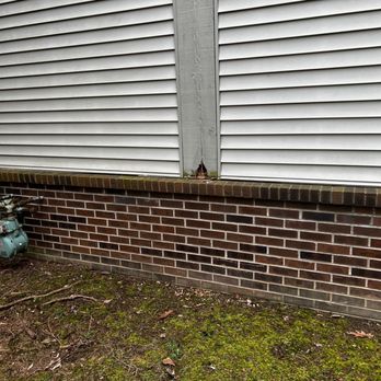 Valley Stream Apartments - these are just holes in the sides of the apartments that squirrels run in and out of! THEY WONT FIX THEM. - Apartments Near Me - Maumee, Ohio Valley Stream Apartments - these are just holes in the sides of the apartments that squirrels run in and out of! THEY WONT FIX THEM. - Apartments Near Me - Maumee, Ohio