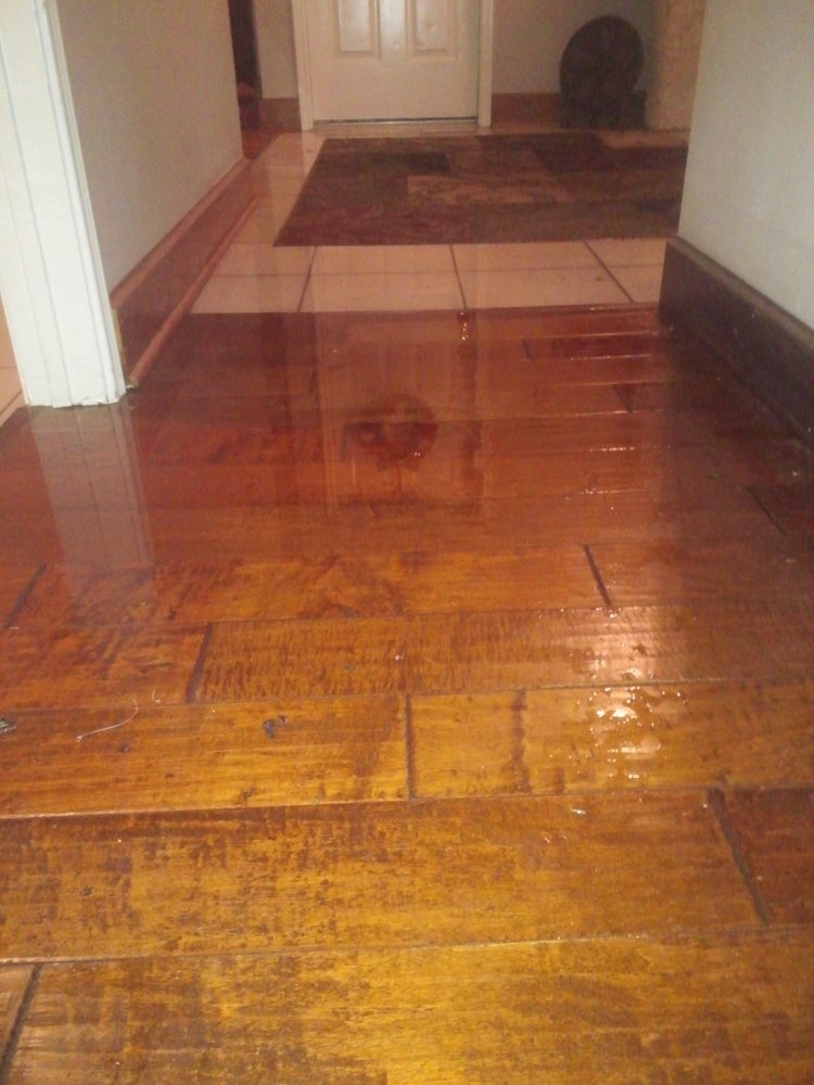 DryMore Cypress - mold inspector in Cypress, TX