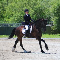 Pacifica Equestrian Center