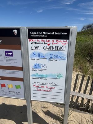 Coast Guard Beach by null
