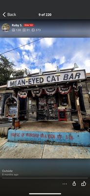 Mean Eyed Cat by null