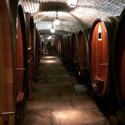 Cave Historique des Hospices de Strasbourg by null
