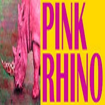 Pink Rhino - Accessories Near Me - Albuquerque, New Mexico Pink Rhino - Accessories Near Me - Albuquerque, New Mexico