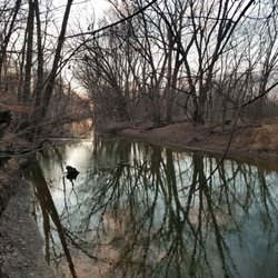 Goll Woods Preserve - Sunset at the Tiffin River at the outside edge of the Preserve.