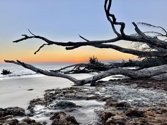 Big Talbot Island State Park by null