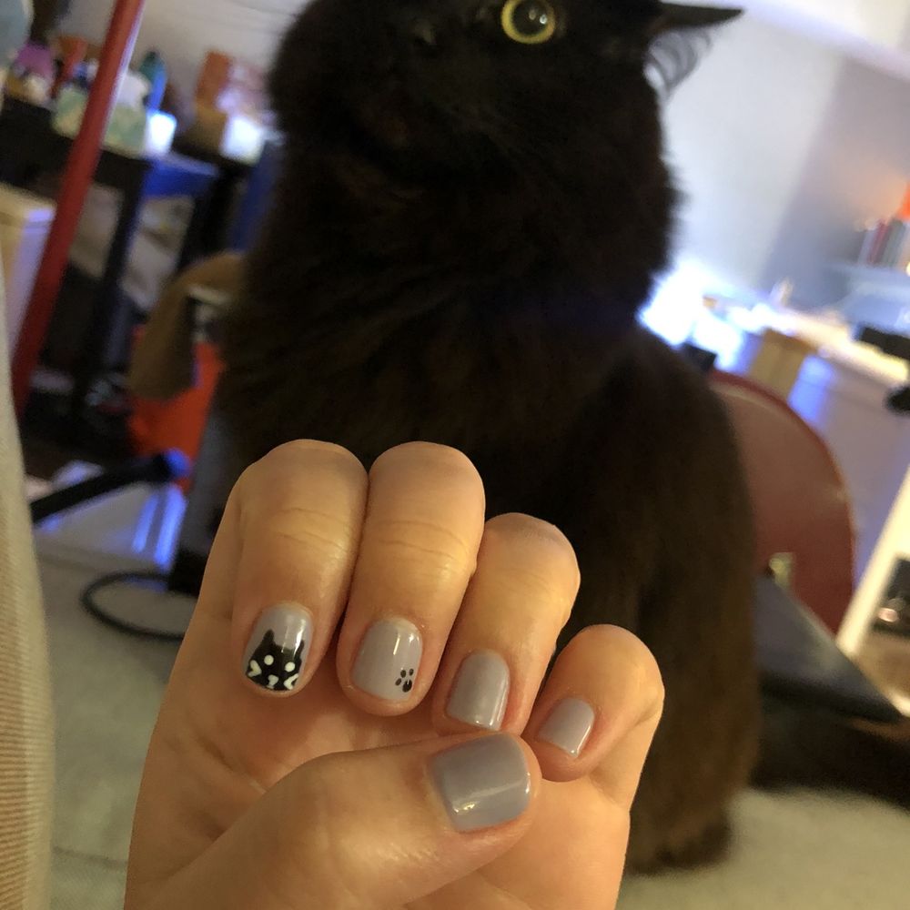 It's hard to take a pic with a cat...