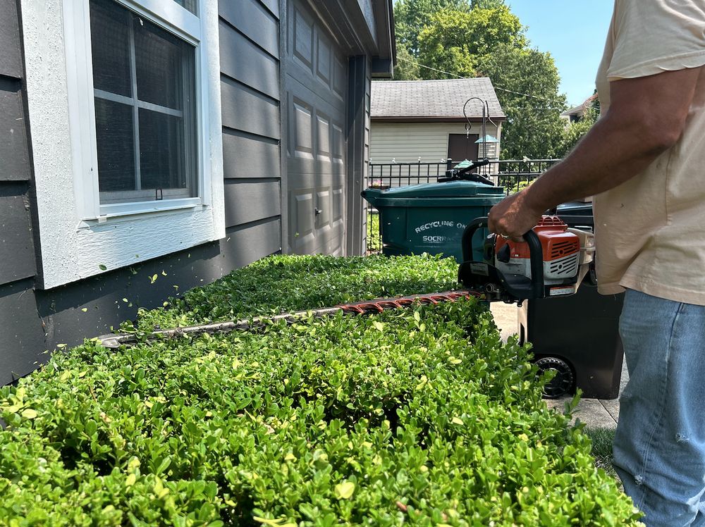 Bushmaster Team - tree service in Sterling Heights, MI