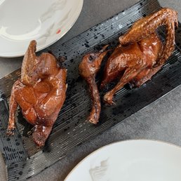 Bird - delicious Bird - delicious