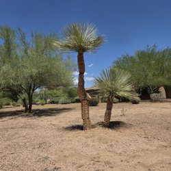 A&J Premier Landscaping