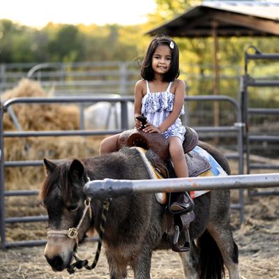 STORYBOOK RANCH PUMPKIN PATCH - Updated January 2026 - 38 Photos - 402 ...