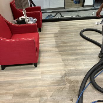Steamex Carpet Cleaning - Carpet Cleaning Near Me Steamex Carpet Cleaning - Carpet Cleaning Near Me