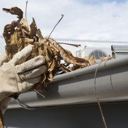 Dempsey Student Window Cleaning - Gutter cleaning