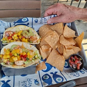 Lucky Fish - Delicious shrimp tacos. - Seafood Near Me - Dania Beach, Florida Lucky Fish - Delicious shrimp tacos. - Seafood Near Me - Dania Beach, Florida