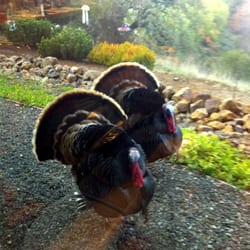 Recent visitors to our offices
