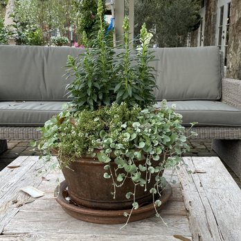 Thompson + Hanson - Nurseries & Gardening Near Me - Houston, Texas