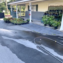 Green Market Nursery - Even more plants!