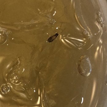 Essen Slow Fast Food - DO NOT GO THERE!!!!! COCKROACH IN MY ICED TEA. Fiends have had cockroaches in their sandwiches before but I didn't listen. - Delis Near Me - New York, New York Essen Slow Fast Food - DO NOT GO THERE!!!!! COCKROACH IN MY ICED TEA. Fiends have had cockroaches in their sandwiches before but I didn't listen. - Delis Near Me - New York, New York