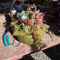 Green Jewels Nursery - The finished centerpiece