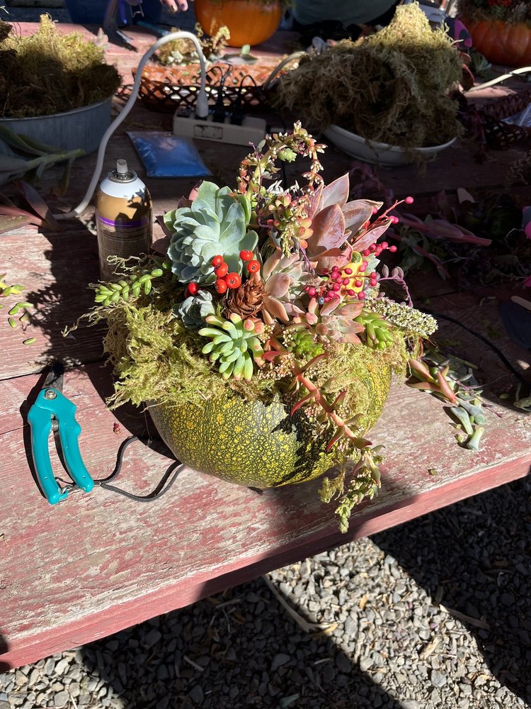 GREEN JEWELS NURSERY Updated August 2024 209 Liberty Rd, Petaluma