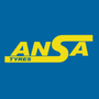 Photo of Hi-Q Ansa Tyres