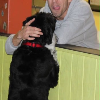 4 Paws Play House - Pet Groomers Near Me - Markham, Illinois