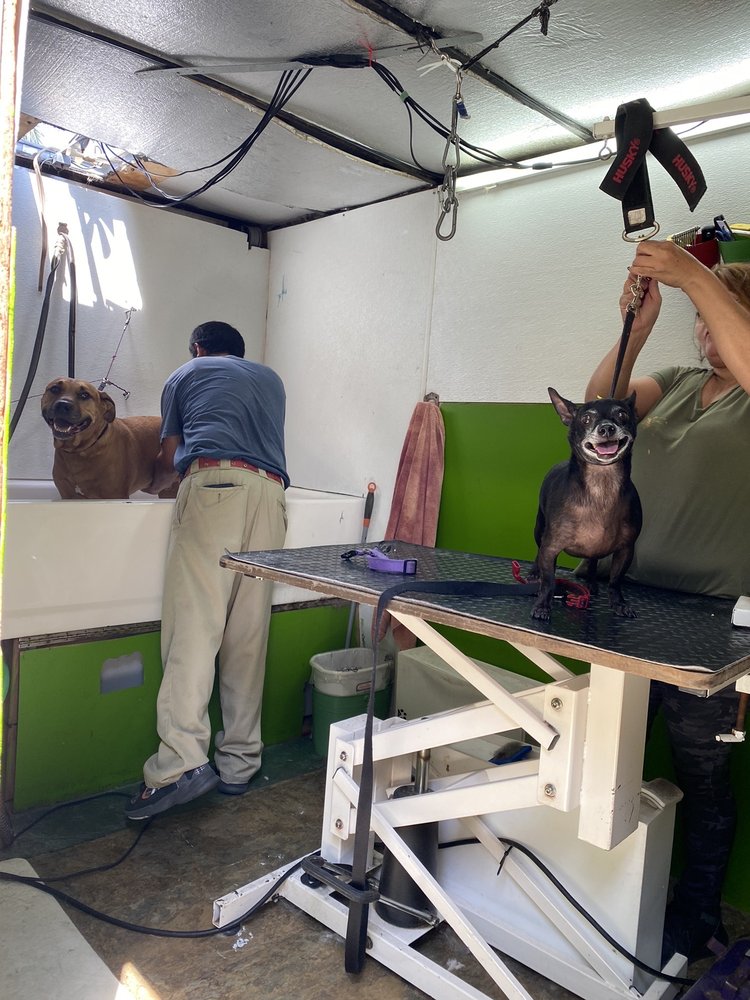 EXTRAVAGANT MOBILE PET GROOMING Updated June 2024 34 Photos & 14